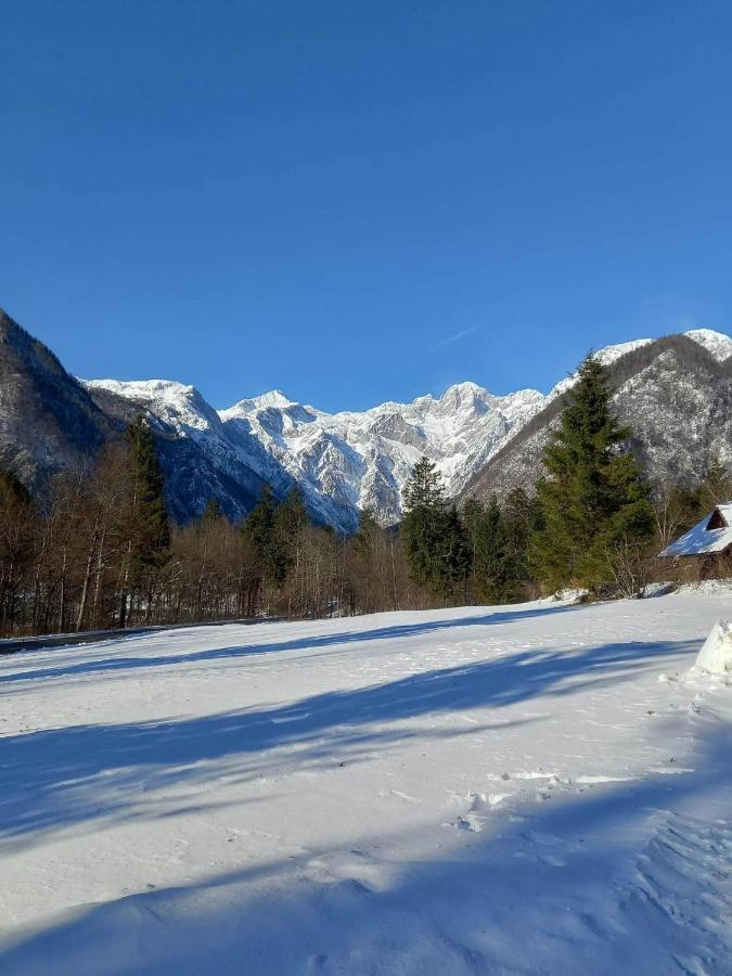 Lepa Lopa Resort Стаховица Экстерьер фото
