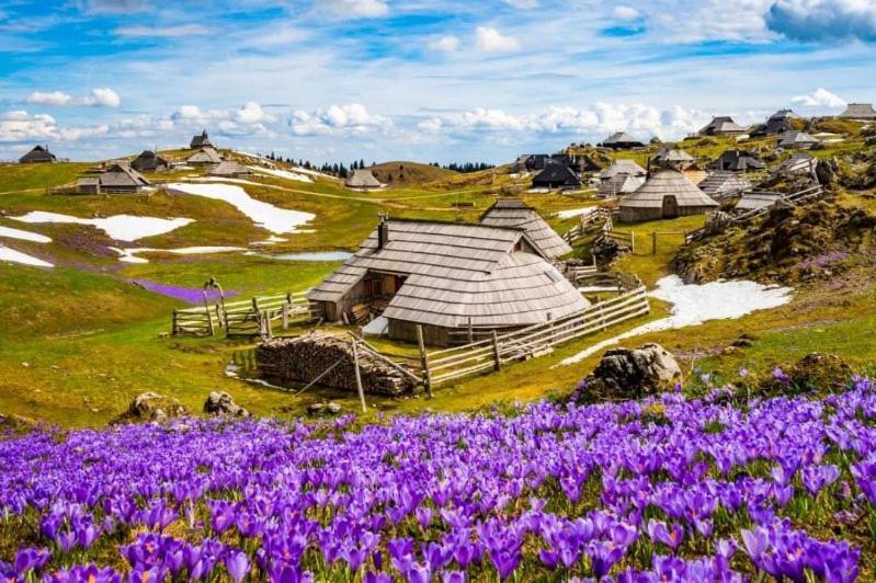 Lepa Lopa Resort Стаховица Экстерьер фото