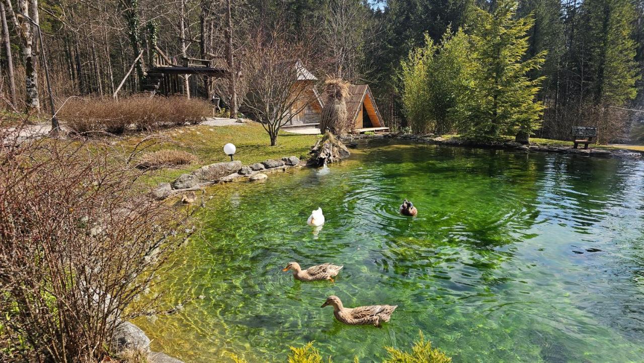Lepa Lopa Resort Стаховица Экстерьер фото