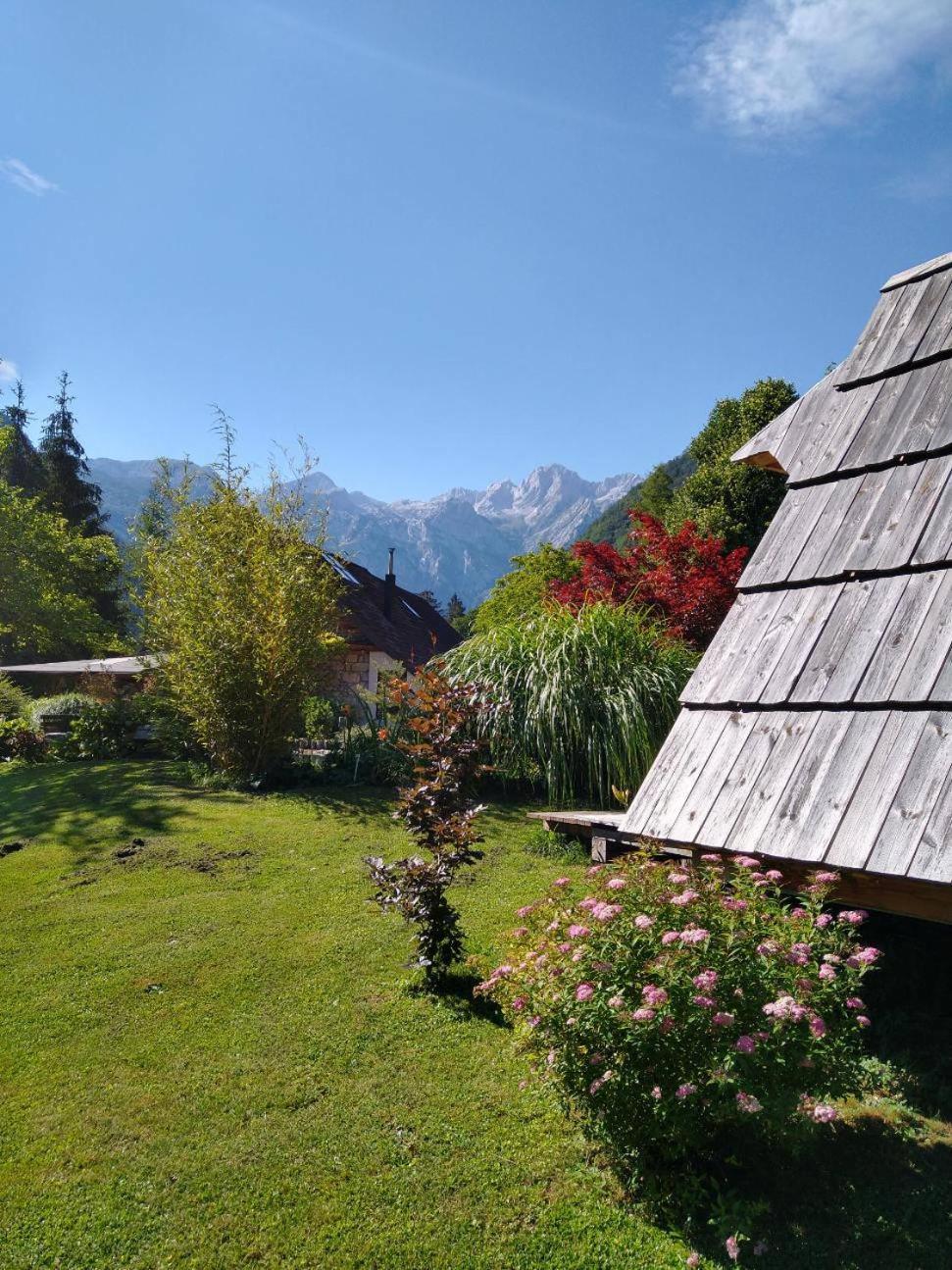 Lepa Lopa Resort Стаховица Номер фото